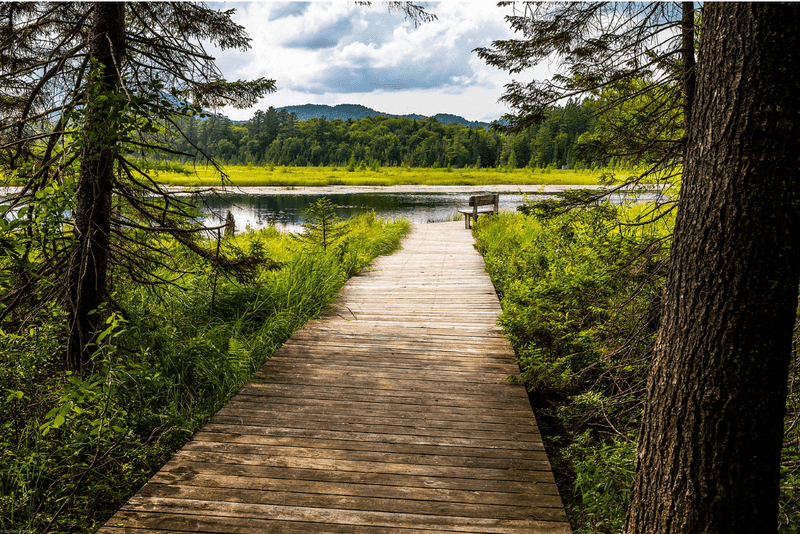 Paul Smith's College VIC Trails: Adirondack Wilderness Showcase