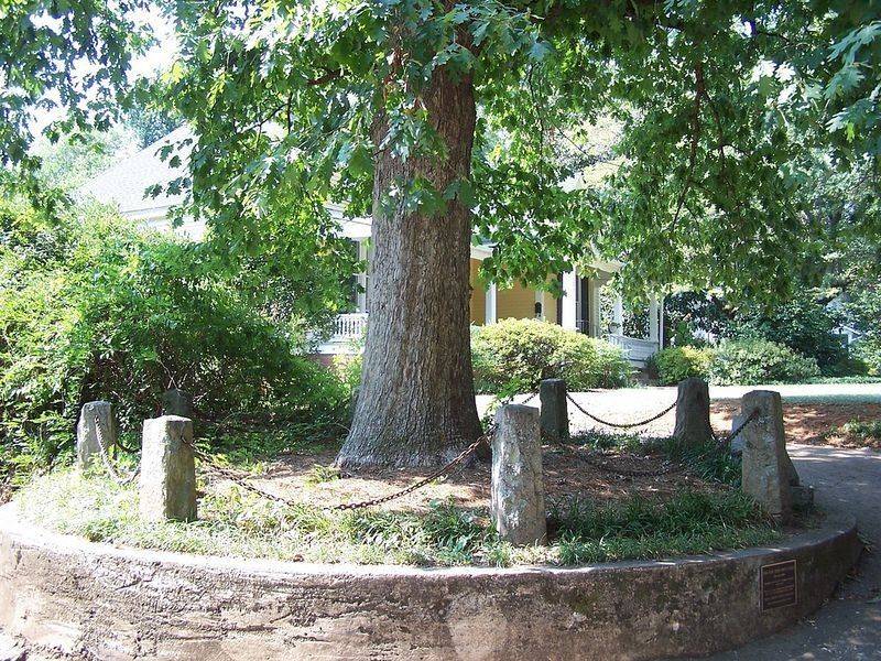 The Tree That Owns Itself