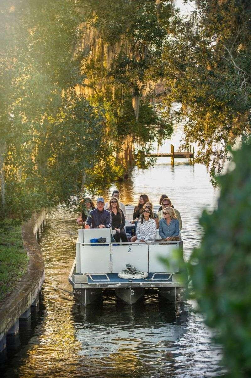 Winter Park Scenic Boat Tour: A Relaxed Look at Hidden Waterways