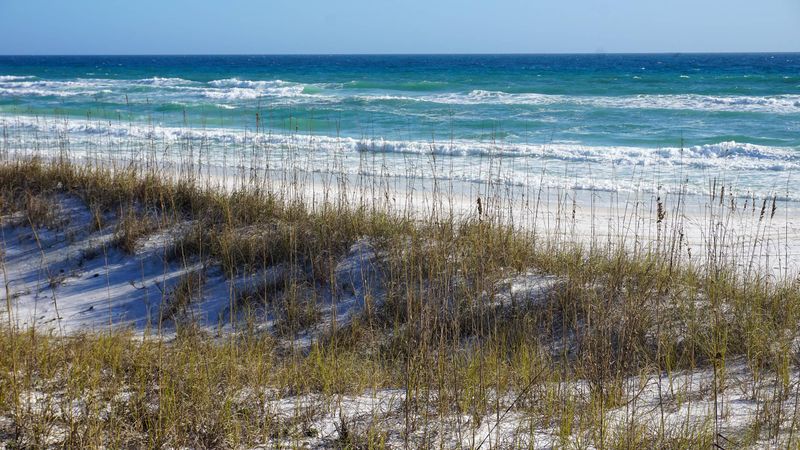 Henderson Beach State Park – Destin