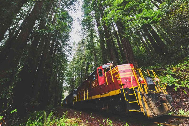 Stops Along the Way That Connect Travelers to Nature