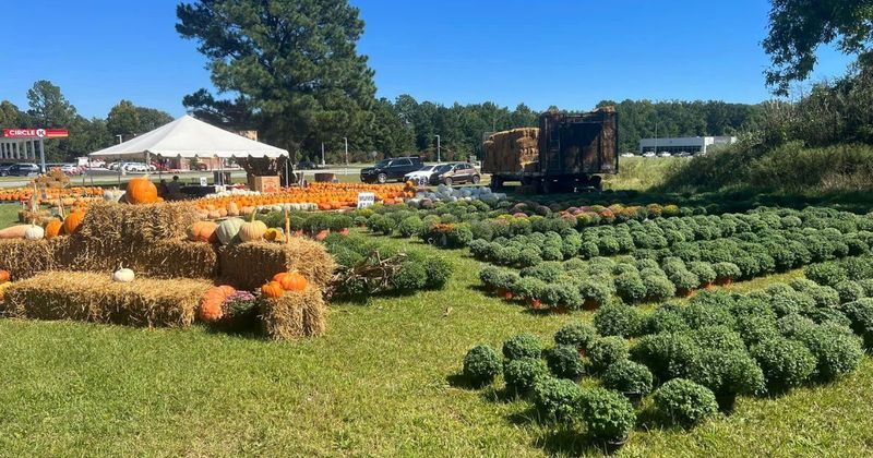 Briley's Farm Market: Greenville's Harvest Wonderland
