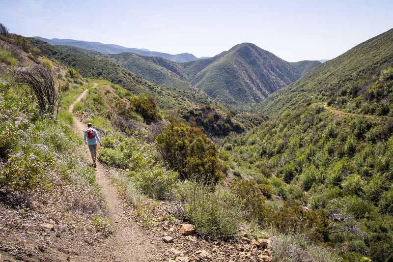 Hiking Trails Reveal Hidden Natural Wonders