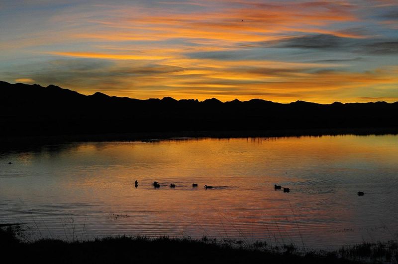 The Vanishing Lake of Willcox Playa