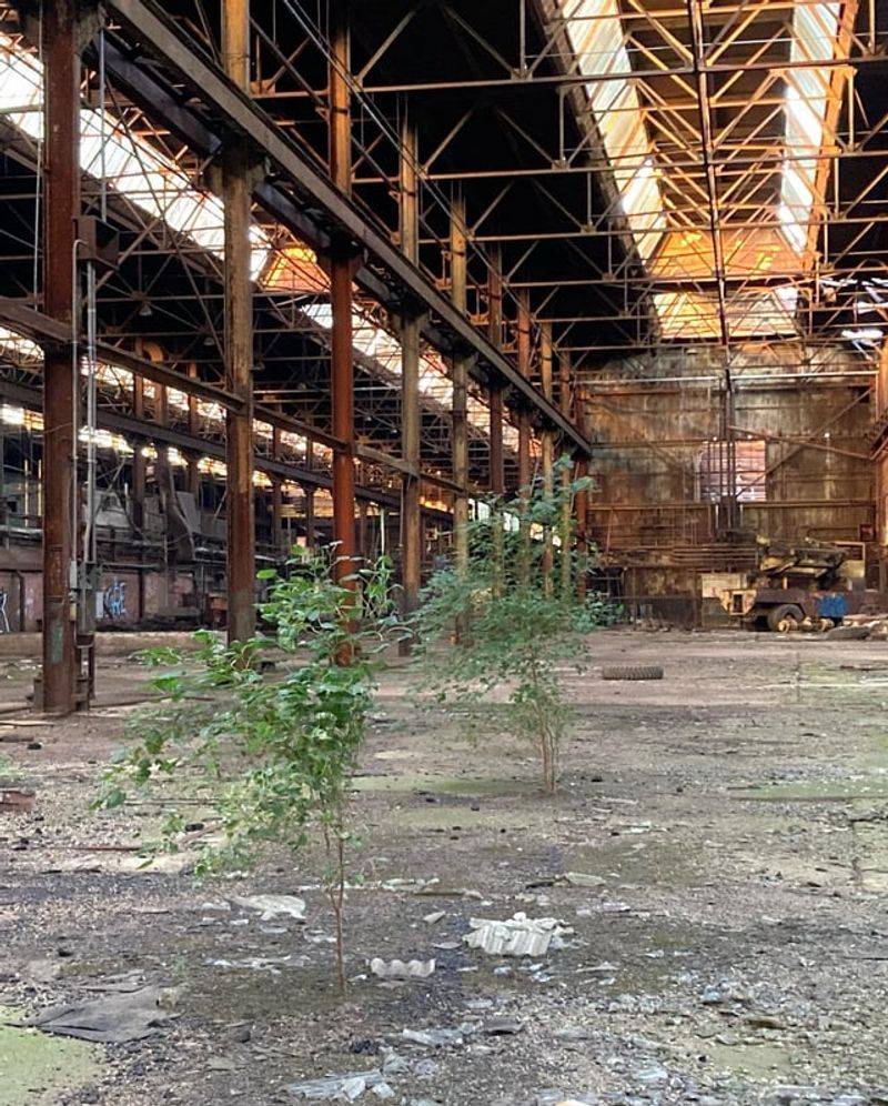 Joliet's Steel Mills and Forgotten Manufacturing Sites