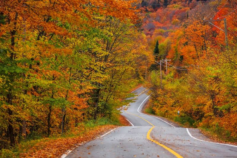 Vermont's Route 100 Countryside Tour