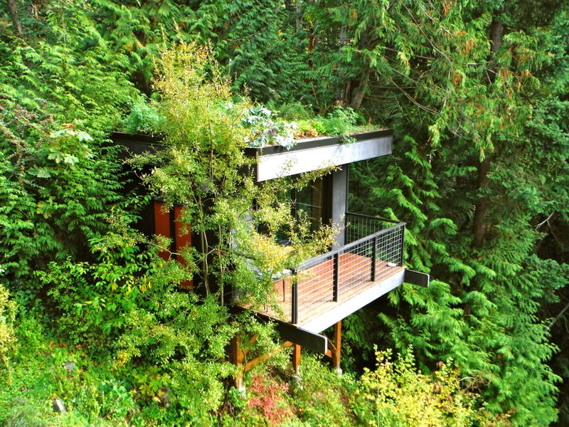 Pleasant Bay Lookout Treehouse (Bellingham)