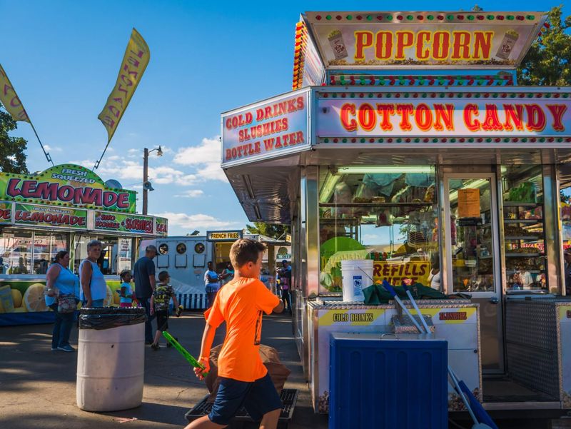 Illinois State Fair (Springfield)