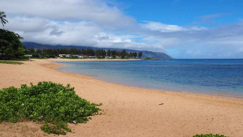 Morning Stroll Along Haleiwa Beach Park