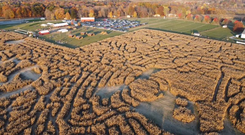 Maze Craze