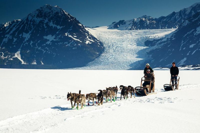Exhilarating Dog Sledding Adventures