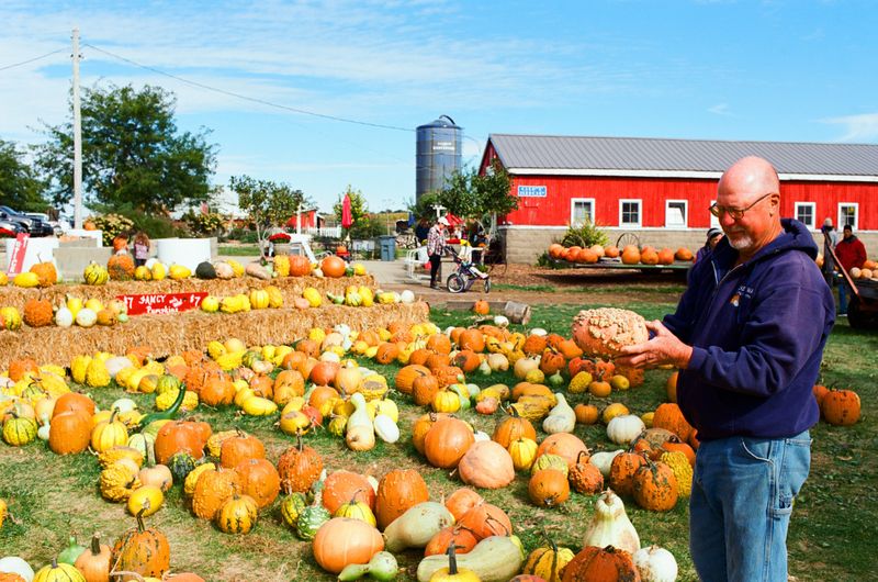 Pumpkin-Flavored Food and Local Eats