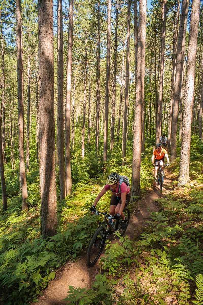 Mosquito Brook Road Biking