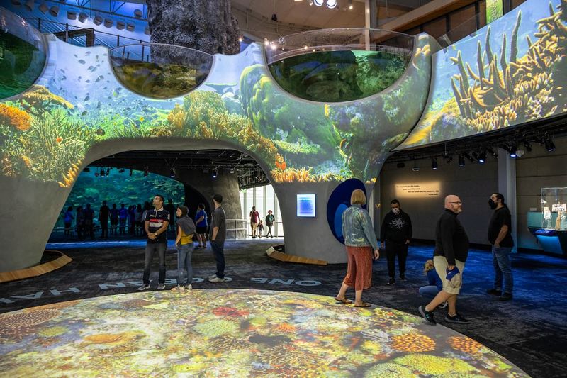 Aquarium Expansion: Ocean Pavilion's Allure