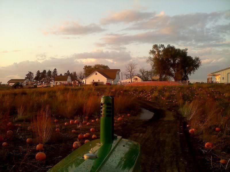 Uncle Bill's Farm Phantom Cornfield
