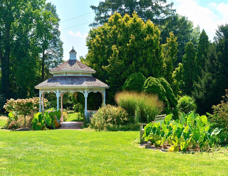 Hidden Lake Gardens