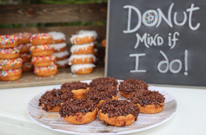 The Donut Experiment (Anna Maria Island)