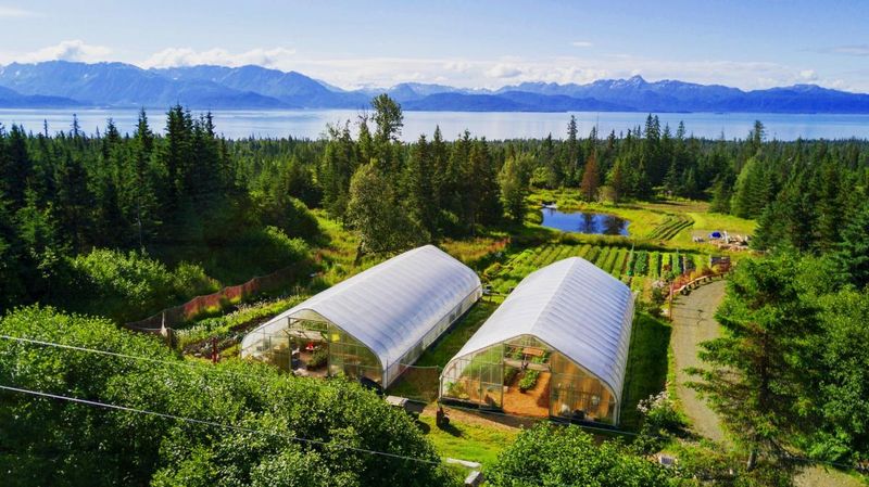 The Greenhouse - Homer's Farm-to-Boat Fusion