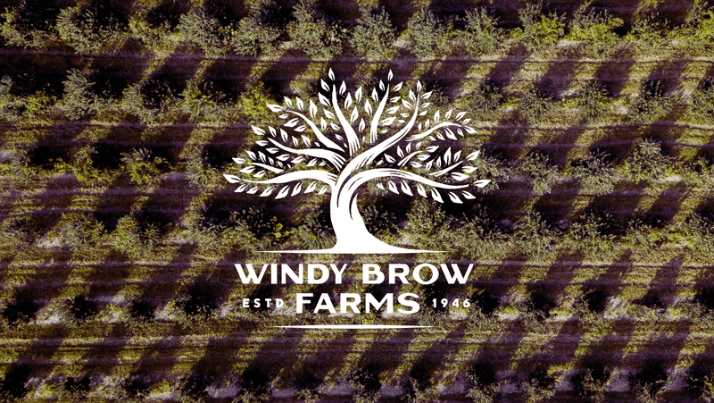 A Farm Rooted in History