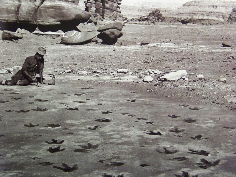 Paluxy River Dinosaur Tracks: Prehistoric Highway Stop