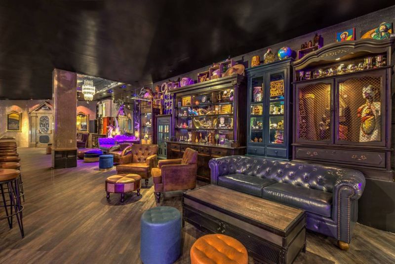 The Cabinet of Curiosities