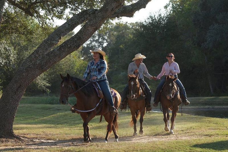 BlissWood Bed and Breakfast Ranch