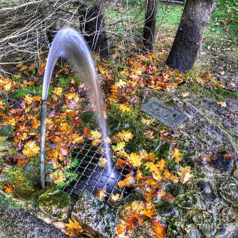 Old Facefull Artesian Wonder