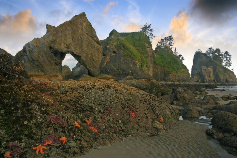 Point of the Arches: Nature's Sculpture Gallery