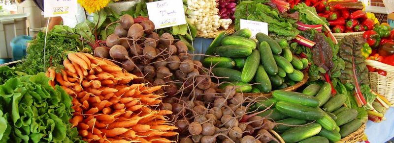 Valdosta Farmers Market - South Georgia's Agricultural Showcase