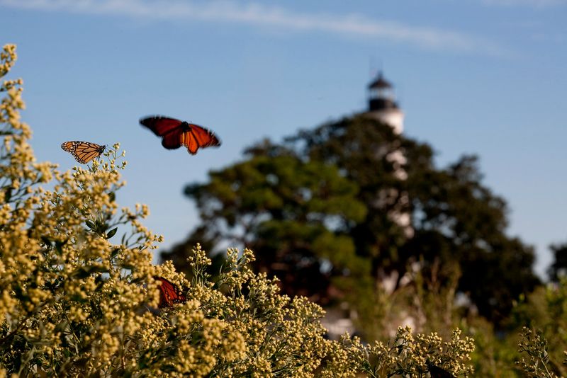 St. Marks National Wildlife Refuge