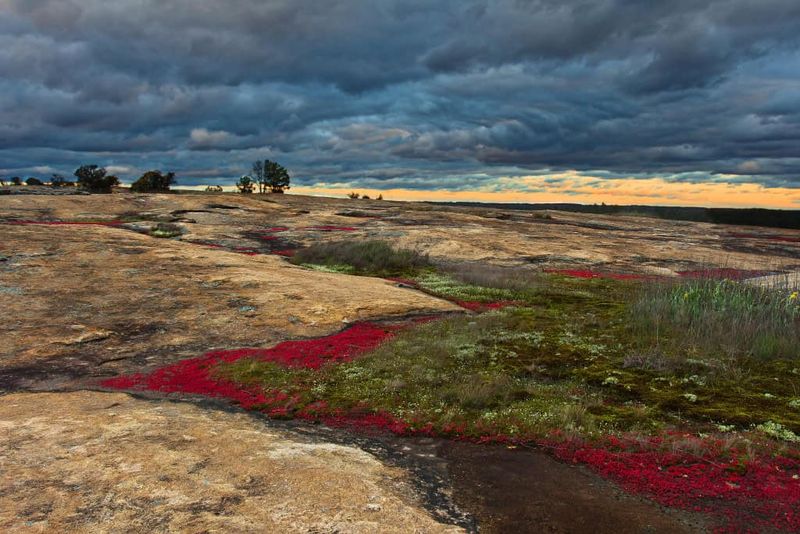 Arabia Mountain National Heritage Area: Otherworldly Landscapes Near Home