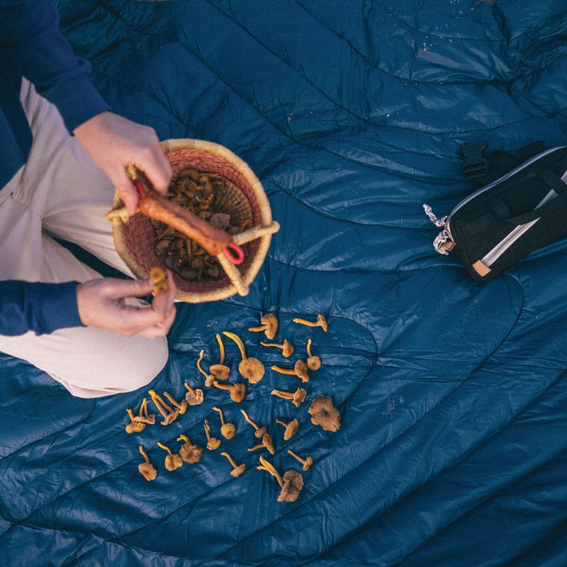 Dayton's Urban Foraging Dinners
