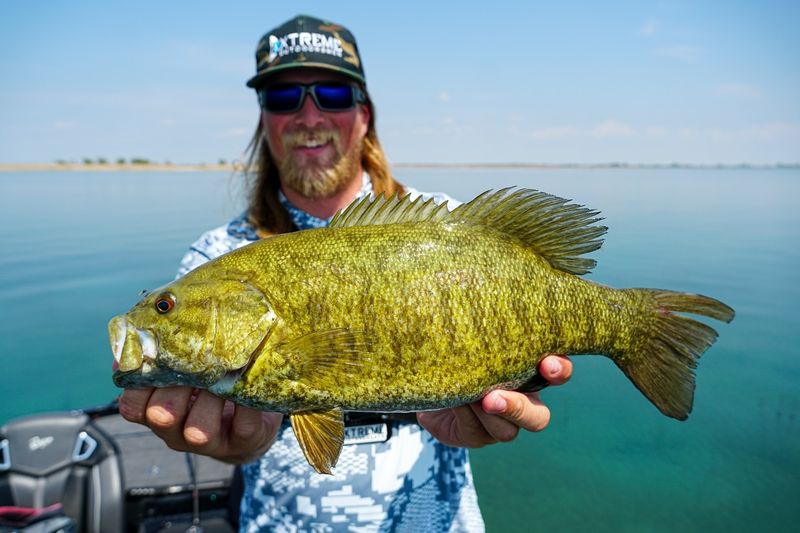 Lake St. Clair's Trophy Bass Haven