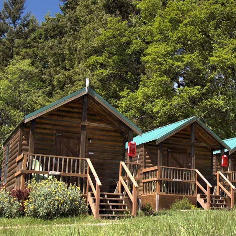 Doe Bay Treehouse Cabins (Orcas Island)