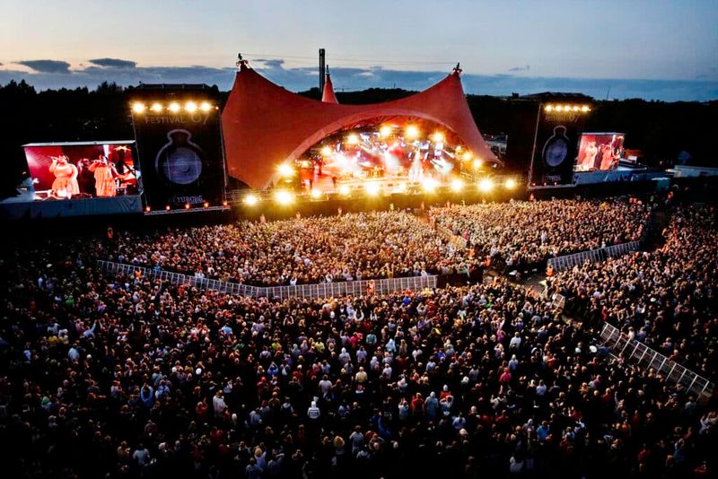 Roskilde North Fest: Bellingham's Scandinavian-Inspired Celebration