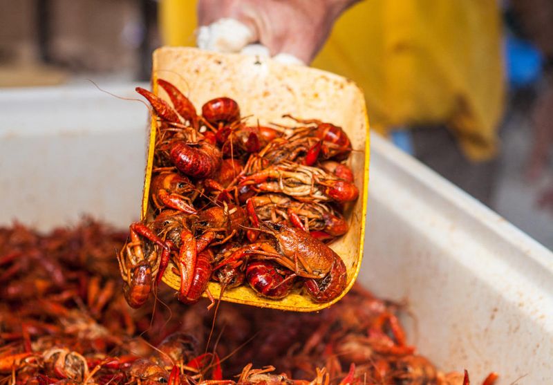 Join The Festivities At Seasonal Celebrations