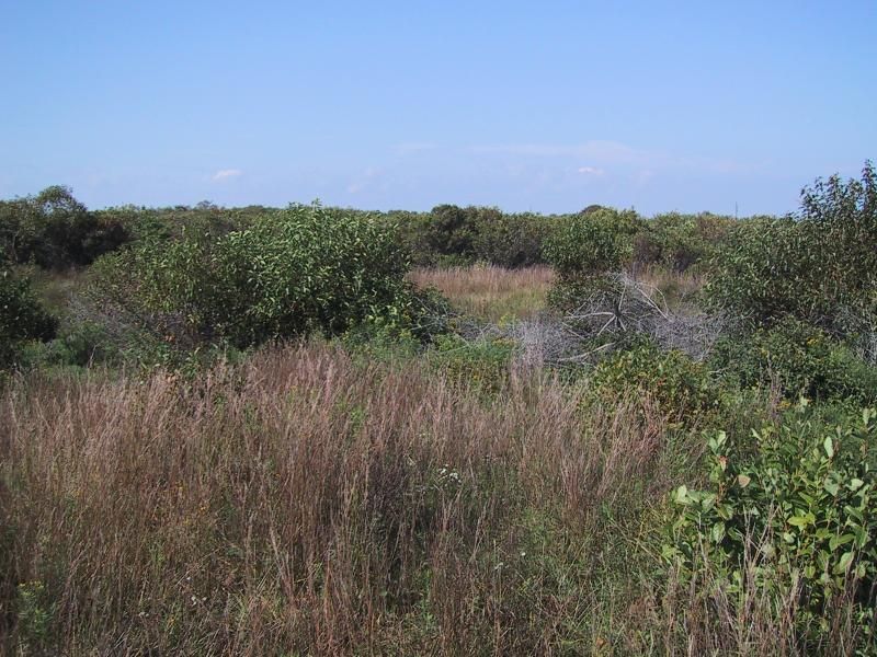 Conscience Point National Wildlife Refuge
