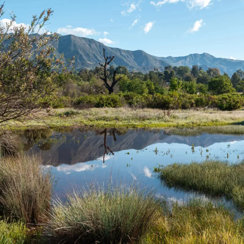 Ojai Meadows Preserve, Ojai
