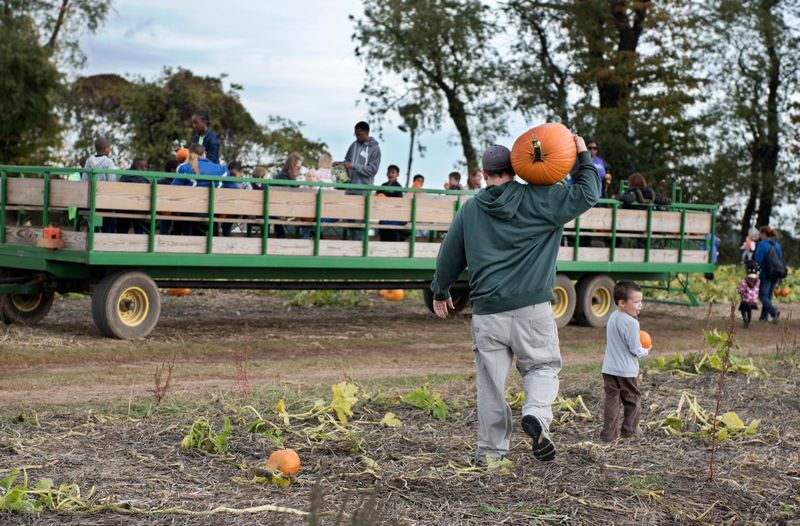 Family-Friendly Fall Festival With Halloween Spirit