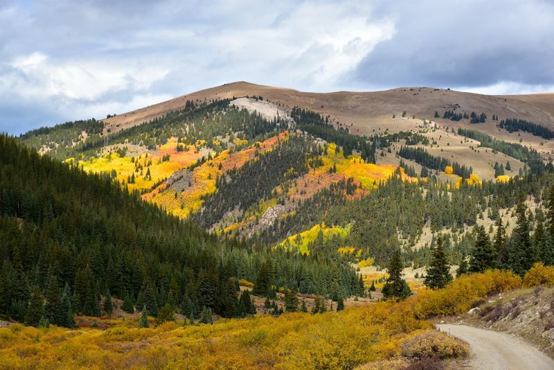 San Isabel National Forest: Home to Colorado's Gentler Giants
