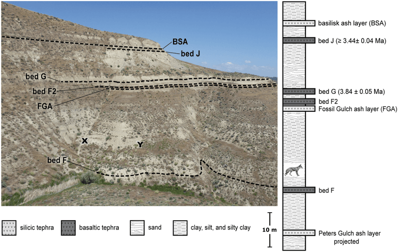 What Makes This Site a Geological or Fossil Treasure