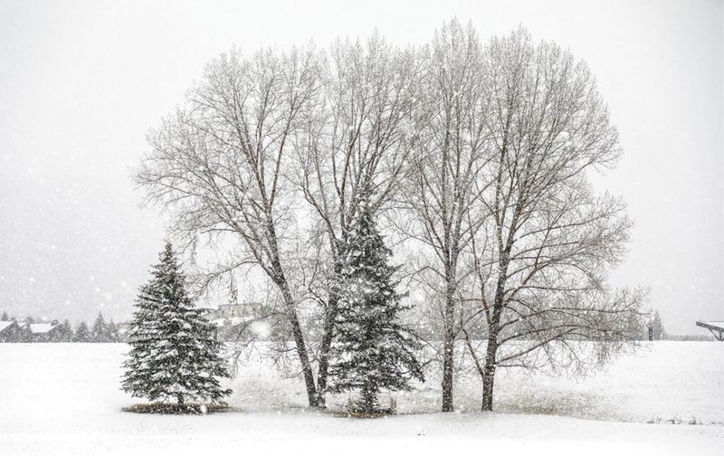 When to Expect the First Snow