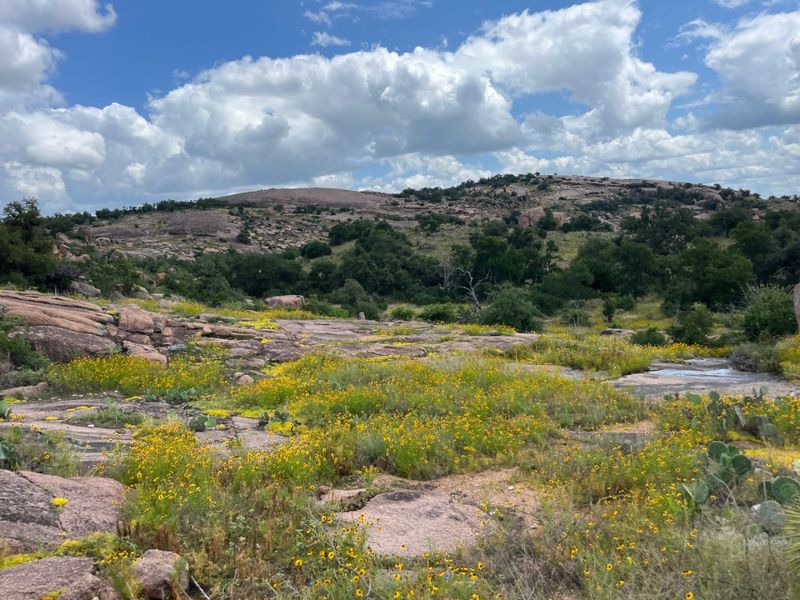 Granite Basin Meadows at Enchanted Rock