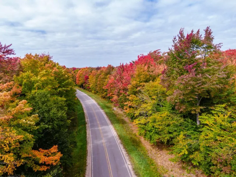 Rural Road Surprises