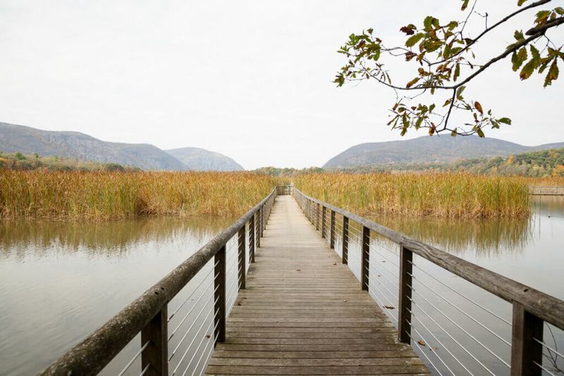 Constitution Marsh's Forgotten Boardwalk