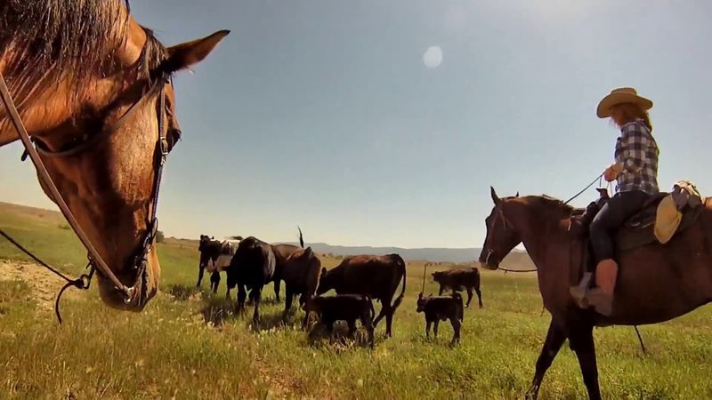 Klondike Ranch in Buffalo: Working Ranch with Cowboy Spirit