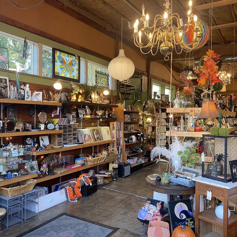 Home Goods Wonderland