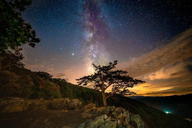 Starry Night Skies For Unforgettable Camping