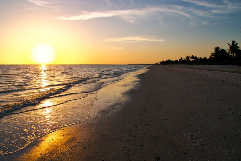 Embrace Early Morning Beach Walks