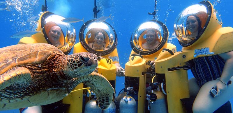 Marine Life Encounters